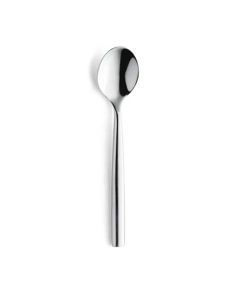 Cuillere a cafe en acier inoxidable model luxe simple paque de 6 piec